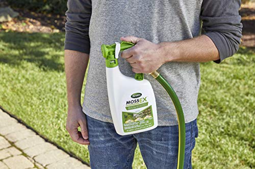 Scotts 3300210 Mossex 3-In-1 Ready-Spray, Moss Killer thumb #4
