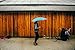Blunt Classic Umbrella,(Aqua Blue),One-size