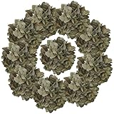 ARTIFIPLANT 7.1''Coffee Hydrangea Artificial Flowers,10Pcs Artificial Silk Hydrangea Heads,81 Petals Faux Hydrangea Flowers Heads with Stems for Home Wedding Baby Shower Decor(Coffee)