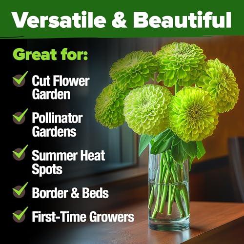 Image of HOME GROWN Envy Zinnia Seeds (2oz) - 8,500 Rare Lime Green Annual Zinnia Flower Seeds for Planting, Fast-Growing Bulk Seed Variety, Premium Garden Companion for 2026 Bloom (Zinnia elegans)