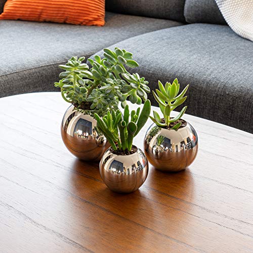 Polished Stainless Steel Planter - Mirror Finish Metal Plant Pot For Succulents, Cactus & Small Plants - For Desk, Window Or Modern Kitchen (Polished Stainless, Sm/Med/Lg Set) #TOP2