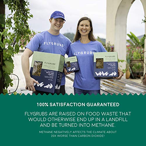 FLYGRUBS 1lb Dried Black Soldier Fly Larvae for Chickens, More Calcium Than Mealworms, Protein-Rich Grubs for Chicken - Non-GMO Chicken Feed - Ideal for Poultry, Wild Birds, Ducks, and Quails - Image 6
