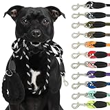 Reichstadt Pets Hundeleine - aus weichem Nylon mit Eva-Griff, reflektierend, drehbarer Metallhaken |...