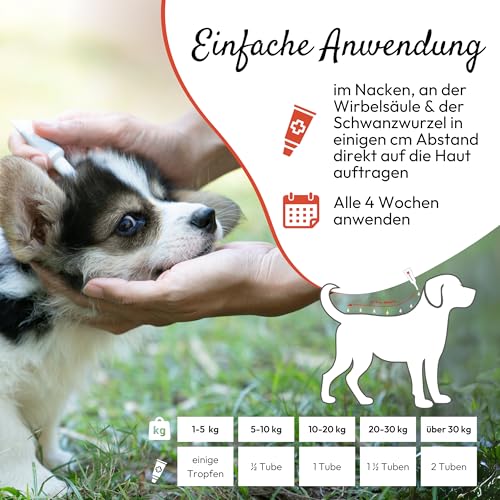 PHA Spot On für Hunde, Floh- & Zeckenschutz mit Neemöl & Laurinsäure