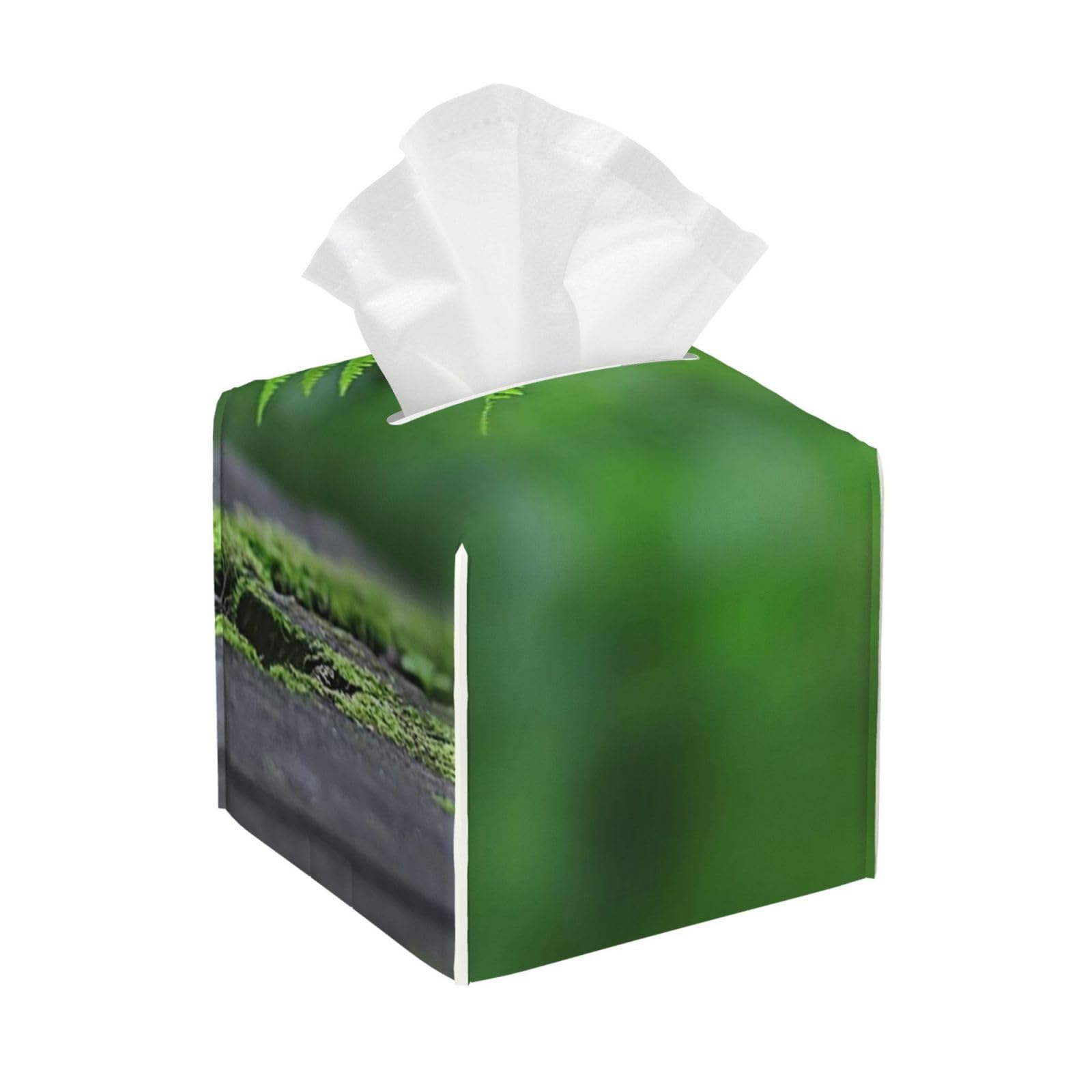 Fern Tropical New Growing Springtime On Mossy Stump Nature Outdoor Trunk Tree PVC Cube Tissue Pack for Home Office Bathroom Use
