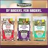Pennington Pride Songbird Nut & Fruit Blend, Wild Bird Seed for Outside Feeders, Advanced Nutrition Formula for Health, Bird Food, 10-lb. Bag