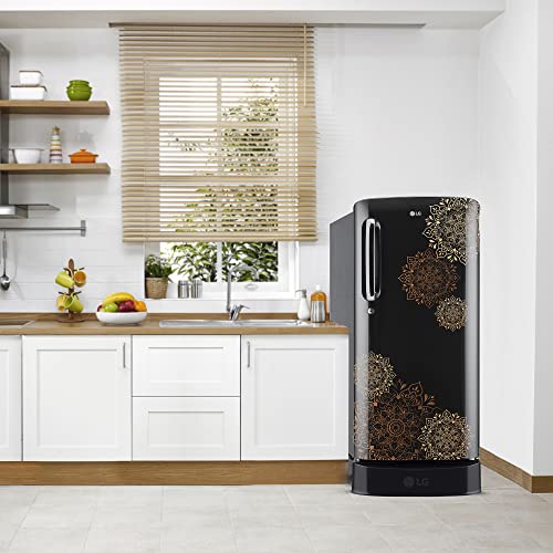 Image of LG 190 L 5 Star Inverter Direct-Cool Single Door Refrigerator Appliance (GL-D201AERZ, Ebony Regal, Base stand with drawer & Fast Ice Making)