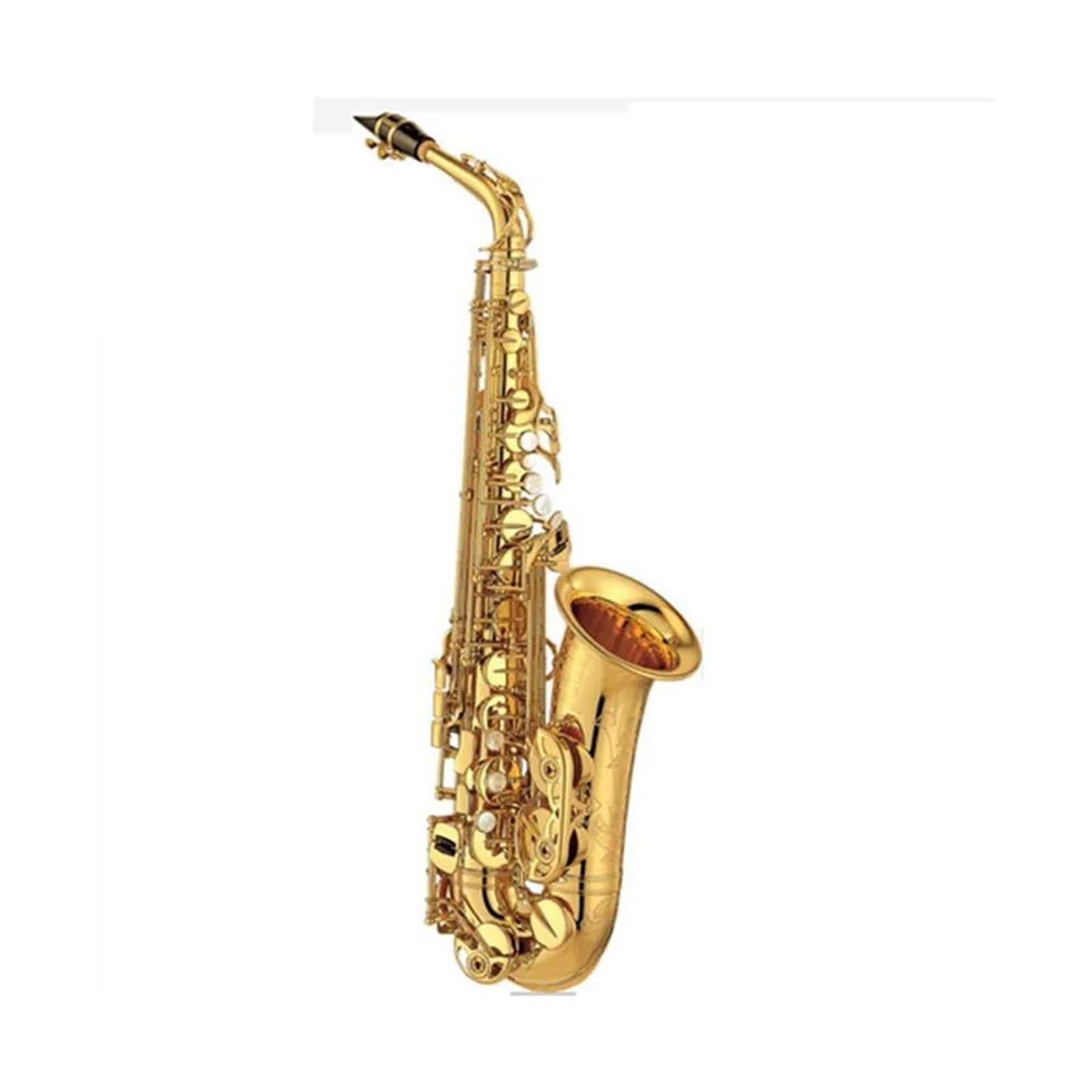 BABYCE Principianti Sassofono Strumento Musicale per Sax Contralto Professionale per Sassofono Contralto in Ottone Placcato Oro