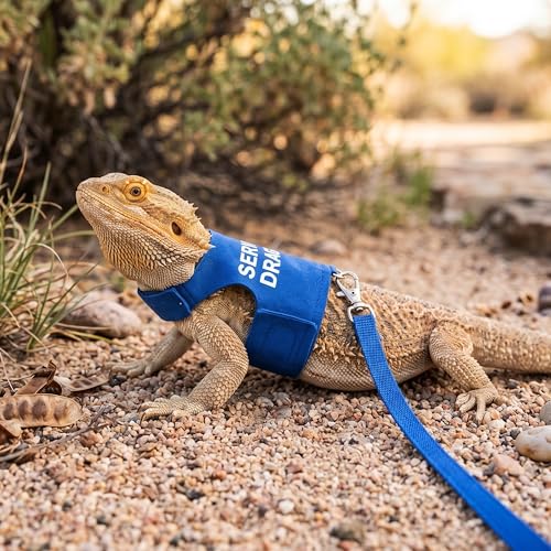 Image of Bearded Dragon Harness and Leash Set - Escape Proof Adjustable Lizard Reptiles Harness with 5 ft Short Leash for Walking Outdoor