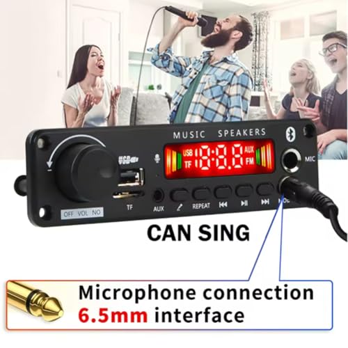 Amplificateur 400W Bluetooth avec décodeur MP3 WMA Ape et module micro DIY DC 8-26V - 5