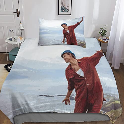 Harry Styles Pillow Bedding Juego De Sábanas Impresas 3D Microfibra Suave Fundas De Almohada...