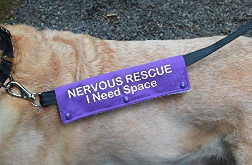 Amazon Com Dog Leash Sleeve Nervous Rescue I Need Space Available In 10 Colors Snaps On Your Leash Handmade Products