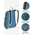 WATERFLY Small Lightweight Packable Backpack: 20l Ultra Light Foldable Travel Hiking Camping Daypack Day Pack for Man Woman - Image 5