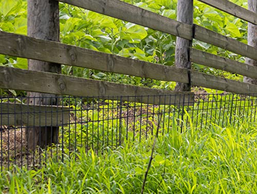 Ladech 20”X20” (6 Pack) No Dig Animal Barrier Fence, Super Thick 6Mm Diameter Black Powder Coated Steel - Underground Decorative Garden Dog Fence Ground Stakes Defense For Outdoor Garden Yard Patio #TOP5