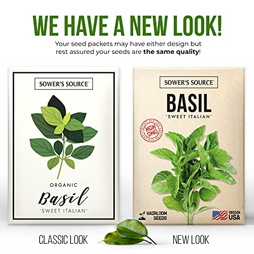 Indoor Herb Garden Starter Kit - Kitchen Herb Garden - Seed Packets, Pots, Markers, Soil Mix - Fresh Basil, Cilantro, Parsley, Sage, Thyme Plant Kit for Adults and Kids - Non GMO