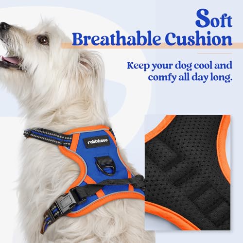 Image of rabbitgoo Dog Harness No Pull with 2 Leash Clips, Adjustable Soft Padded, Reflective Oxford No Choke Pet Vest with Easy Control Handle for Puppy, Blue & Orange, XS