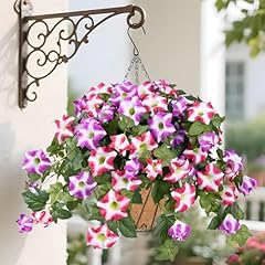 Fuchsia Basket