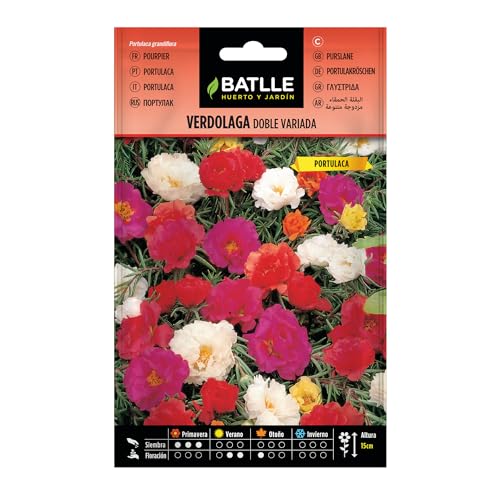 BATLLE Semillas de Verdolaga Doble Variada 0,7 g – Portulaca Multicolor, Ideal Macetas, Rocallas y...