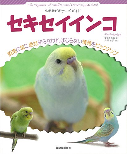 子育てが一段落したので 飼い主に遊んで欲しがる母親セキセイインコ ニコニコ動画 子育てが一段落したので 飼い主に遊んで欲しがる母親セキセイインコ ニコニコ動画