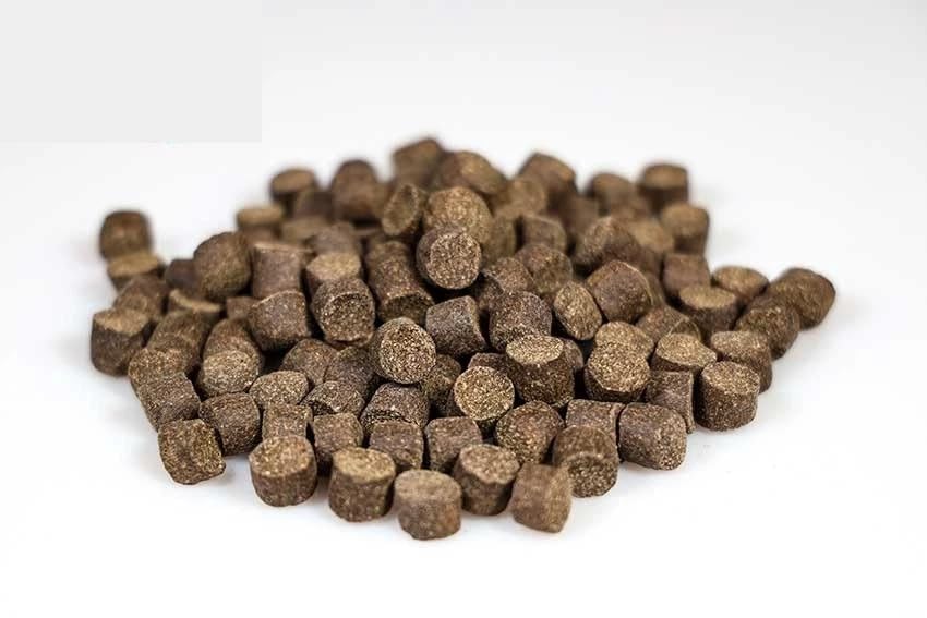REDDIX Coarse Fishing Pellets, Fish Meal, 1 Kg, Micro, Halibut and Screttings Mix, (8MM)