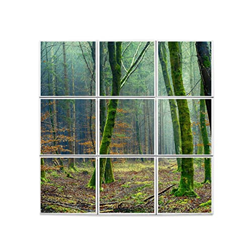 Carreaux Céramique Décoratif Foret Mousse 45x45 cm