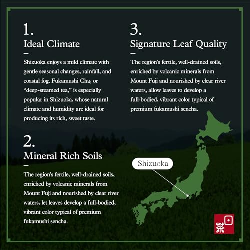 Image of Ocha & Co. Organic Fukamushi Tea - Loose Leaf Japanese Deep Steamed Sencha Green Tea - Intense Taste Tea, 100g /3.5oz.