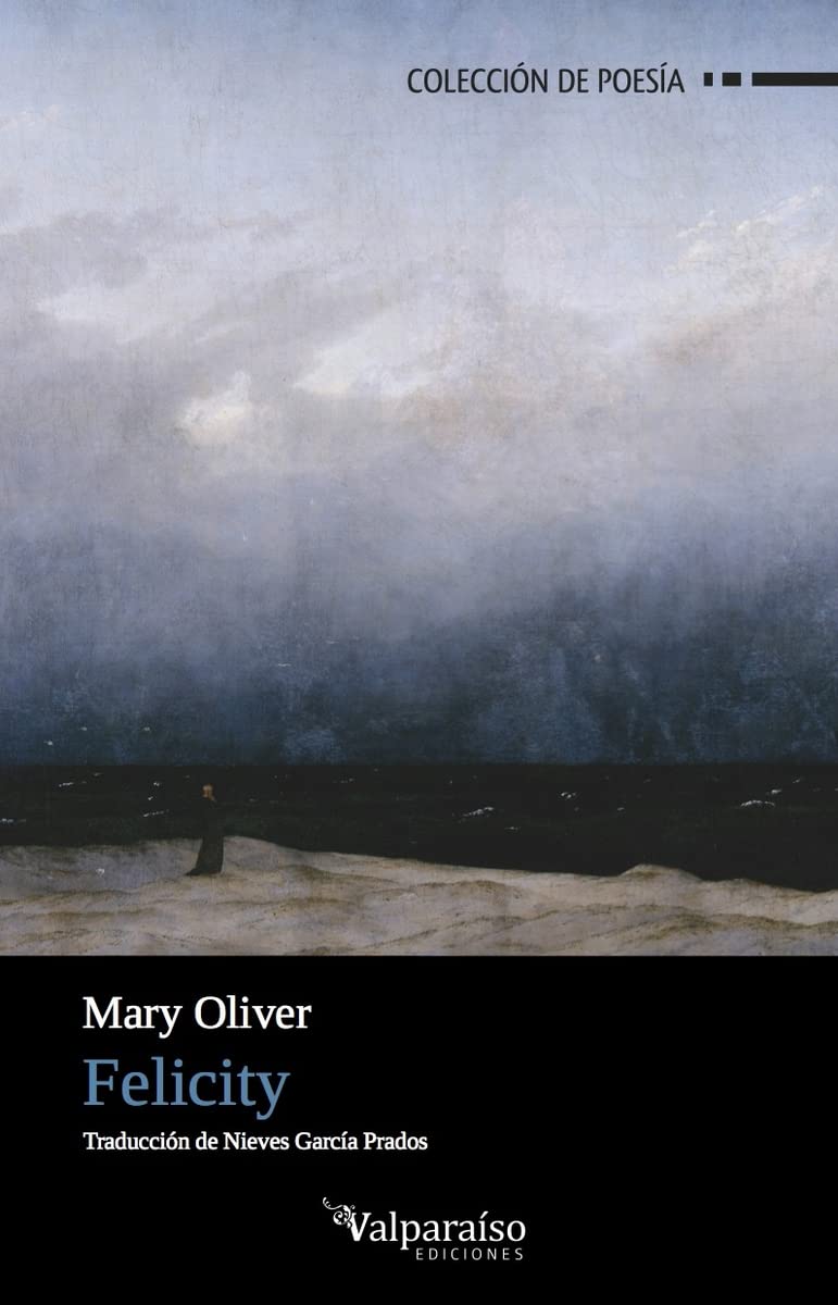 Felicity: 90 (Colección Valparaíso de Poesía)