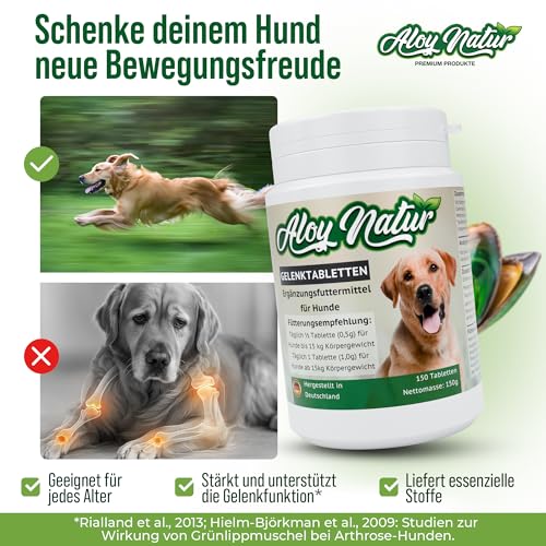 Gelenktabletten Hund | 150 Tabletten reichen für bis zu 10 Monate | hoher Grünlippmuschel Anteil in Vollfett-Qualität, Teufelskralle & MSM | Gelenktabletten für Hunde | stärken die Gelenkfunktion