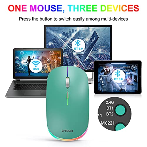Rgb Wireless Mouse, Wisfox 2.4G Rechargeable Silent Wireless Bluetooth Mouse, 3 Modes (Bluetooth 5.0/3.0 + Usb), Led Ergonomic Mouse For Laptop Desktop Windows Mac Ipad (Coral Blue) #TOP1