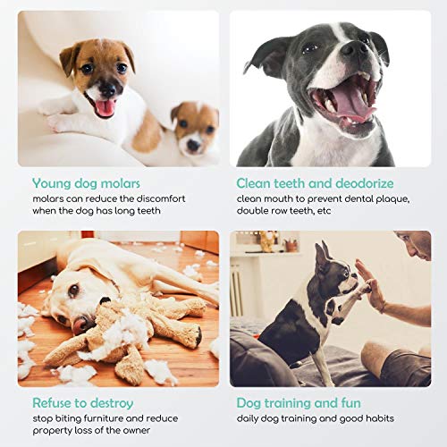 Nobleza - Hunde Kauknochen 20CM x 6 Stück, 100% Natürliche Rinderhautknochen und Hundeknochen für Hunde Groß, Dog Bones Proteinreiche