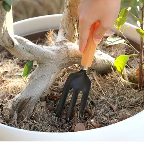 Image of Go Garden 3 Pcs Gardening Hand Tool Kit for Home Gardening | Hand Cultivator, Trowel, Transplanter | Perfectly Sized for Home Garden | Ideal for Flower Pots and Lawns