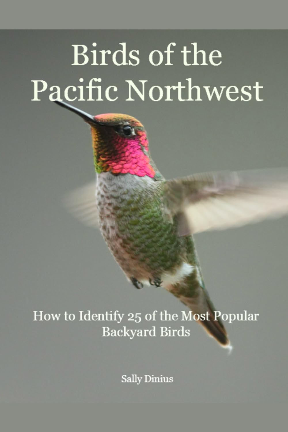 Birds of the Pacific Northwest: How to Identify 25 of the Most Popular Backyard Birds
