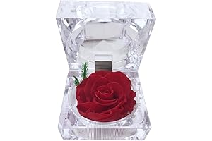 Preserved Rose Christmas Gift for Women | Keepsake Forever Rose in Box