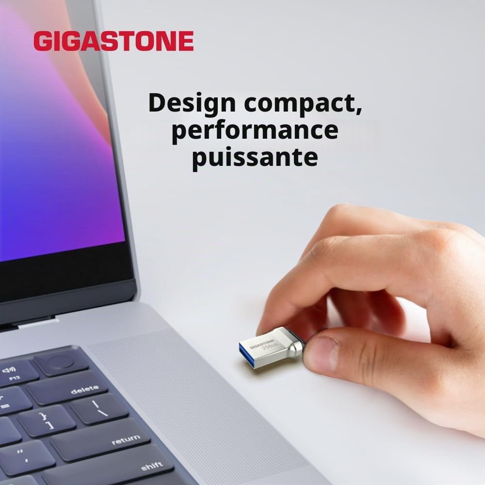 GIGASTONE 256Go Clé USB Nano Flash, Z90 USB 3.2 Gen 1, 100Mo/s Ultra Rapide, Design Métallique, Mini, Stockage et Sauvegarde pour PC/Mac/TV/Voiture, USB 2.0/3.0/3.1 Compatible