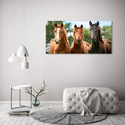Tableau plexiglas Animaux chevaux marrons 120x60cm Tulup