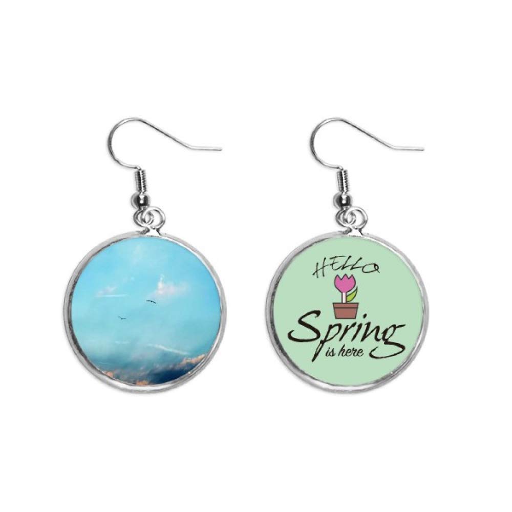 Pendientes de ave blanca de primavera joya colgante de cielo para mujer 5