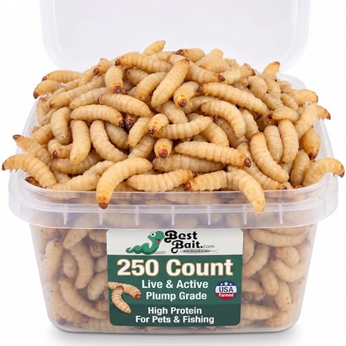 BESTBAIT 250 Count Premium Live Waxworms for Reptiles Birds Amphibians & Fishing Bait - High-Protein Calcium-Rich Soft-Bodied Larvae - Ideal for Bearded Dragons Geckos Chickens & Trout