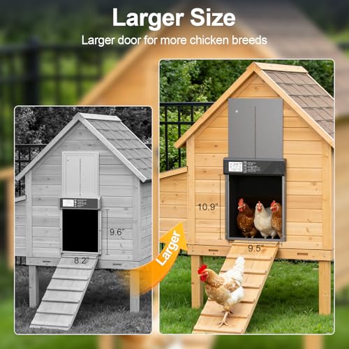 Image of Large Automatic Chicken Coop Door Solar Powered with Timer & Light Sensor | 4000MAh Internal Battery, Automatic Coop Door with Remote & Anti-Pinch Function, Automatic Chicken Door Made of Al-Alloy