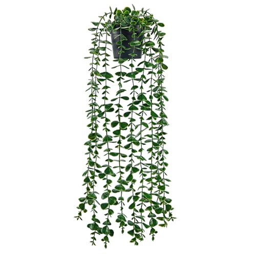 Der Rose 24.8'' Fake Hanging Eucalyptus Plant