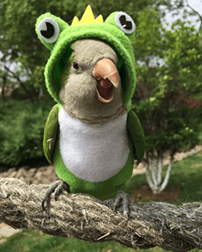 Image of Bird Costume Diaper Flight Suit Frog Shape Hoodie Clothes Cosplay Photo Prop for Parrots Parakeet Cockatiel Sun Conure, Small Animals Apparel (Pink with Diaper, Large), Green (BPF1)