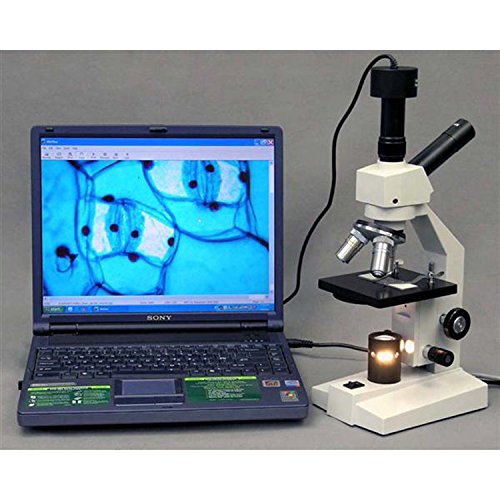 Image of AmScope D120-MS Dual-View Compound Monocular Microscope, 40X-1000X Magnification, Brightfield, 1.25 NA Abbe Condenser, Mechanical Stage