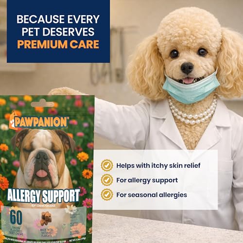 Image of Dog Skin Support Soft Chews with Colostrum, 60 Count | Colostrum, turmeric, probiotics, prebiotics and omega fatty acids support seasonal skin comfort and immune balance.