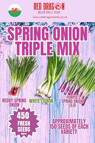 Spring Onion Triple Mix Seeds (450) Reddy White Lisbon & Purple Lilia Colourful Salad Onion Collection Mild Sweet Flavour Fast Growing Easy to Grow UK Seller