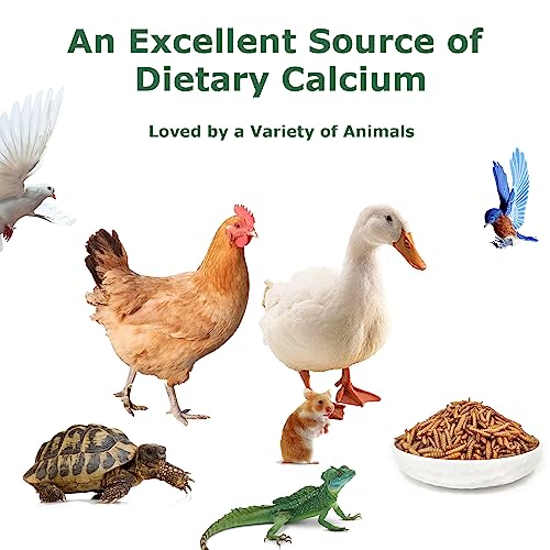 HARTOMPET Dried Black Soldier Fly Larvae for Chickens - Non-GMO Poultry Feed Supplement, 85X More Calcium Than Mealworms,High-Protein Treats for Laying Hens & Ducks & Hedgehogs 5LB — view 6