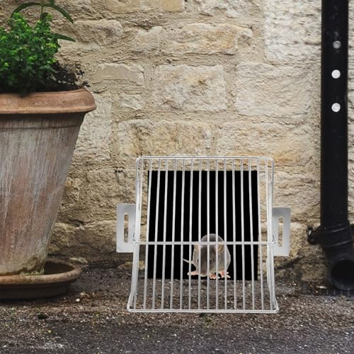 DIKACA �X�e�����X�� �J��X�N���[�� �r�����v���e�N�^�[ �o���R�j�[�r���O���� �t�l�܂�h�~ ��J�Ή� 2�Z�b�g