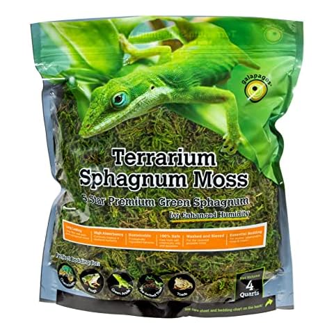 Galápagos Terrarium Green Sphagnum Moss 4 Quart Cover
