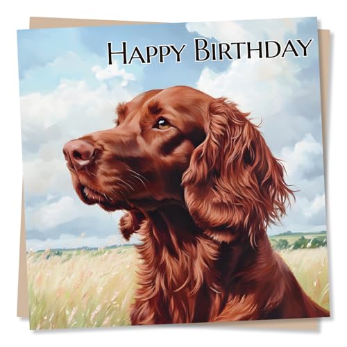 Irish Red Setter Birthday Card - Beautiful Irish Setter In The Field - Happy Birthday Card In Red Setter Dog Design Irish Red Setter Birthday Card - Beautiful Irish Setter In The Field - Happy Birthday Card In Red Setter Dog Design