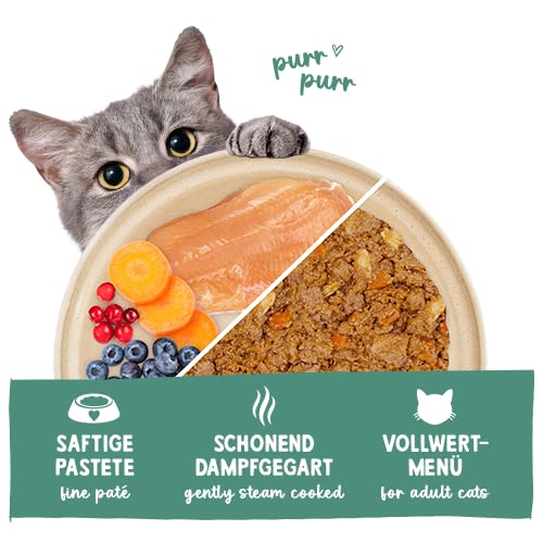 Sanabelle Freshe Mieze Mixtray  10 X 100g Katzenfutter Nassfutter Mixpack  4 Sorten