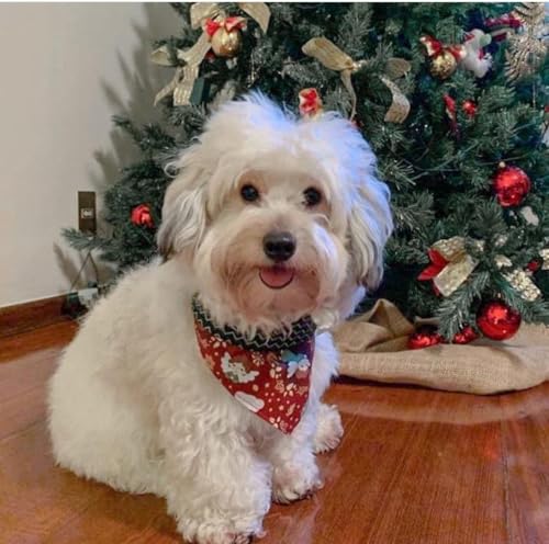 Bandada Estampas diversas de Natal para Cachorro Petbuco Animais de Estimação Cães para Todos Os Por