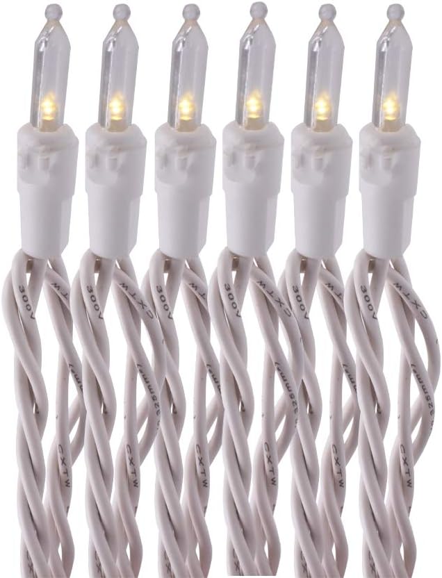 MULTISPARKING Holiday String Lights, UL AC 120V Clear Mini 100 LED